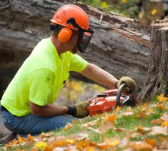 tree services Vinita Park